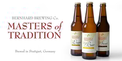 Bernhard Modern Font Poster 2